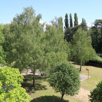Tulipán Bungalow Camping - Sportpálya