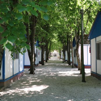 Tulipán Bungalow Camping - Bungalow