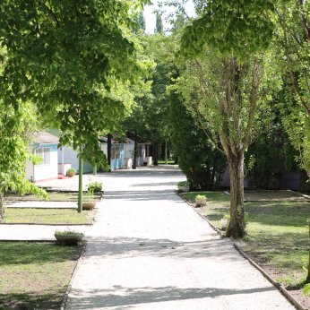 Tulipán Bungalow Camping - Bungalow